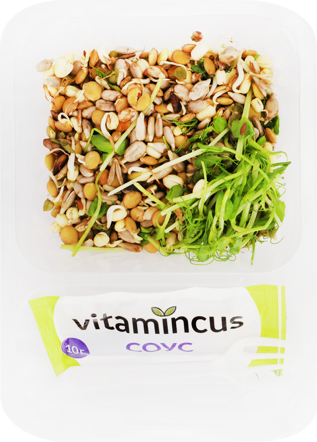 Салатный ростковый микс VITAMINCUS Живые витамины, 100г, превью