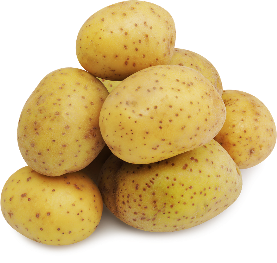 Картофель для варки ЛЕНТА FRESH фасованный, весовой, предпросмотр