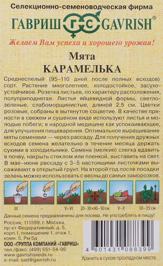 Семена ГАВРИШ Семена от автора, Мята Карамелька, Арт. 191224136, 0,05г, предпросмотр