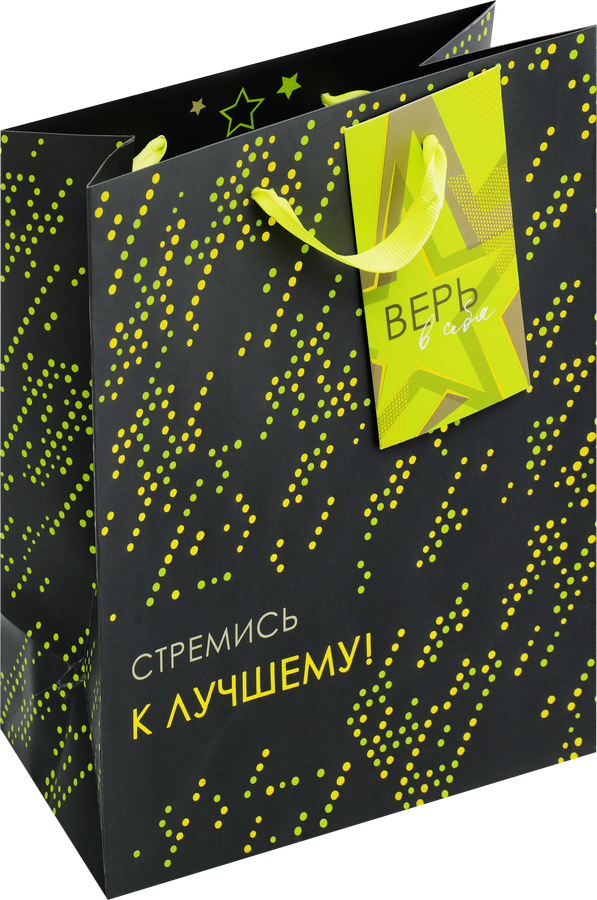 Пакет подарочный Neon премиум, 22,7х18х10см, Арт. МА, предпросмотр