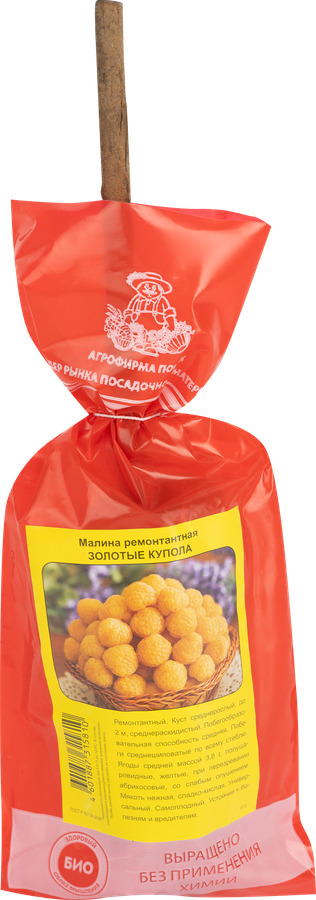 Саженец плодовый ПОИСК Малина, ремонтантные сорта, предпросмотр