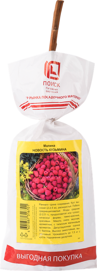 Саженец плодовый ПОИСК Малина, традиционные сорта, превью