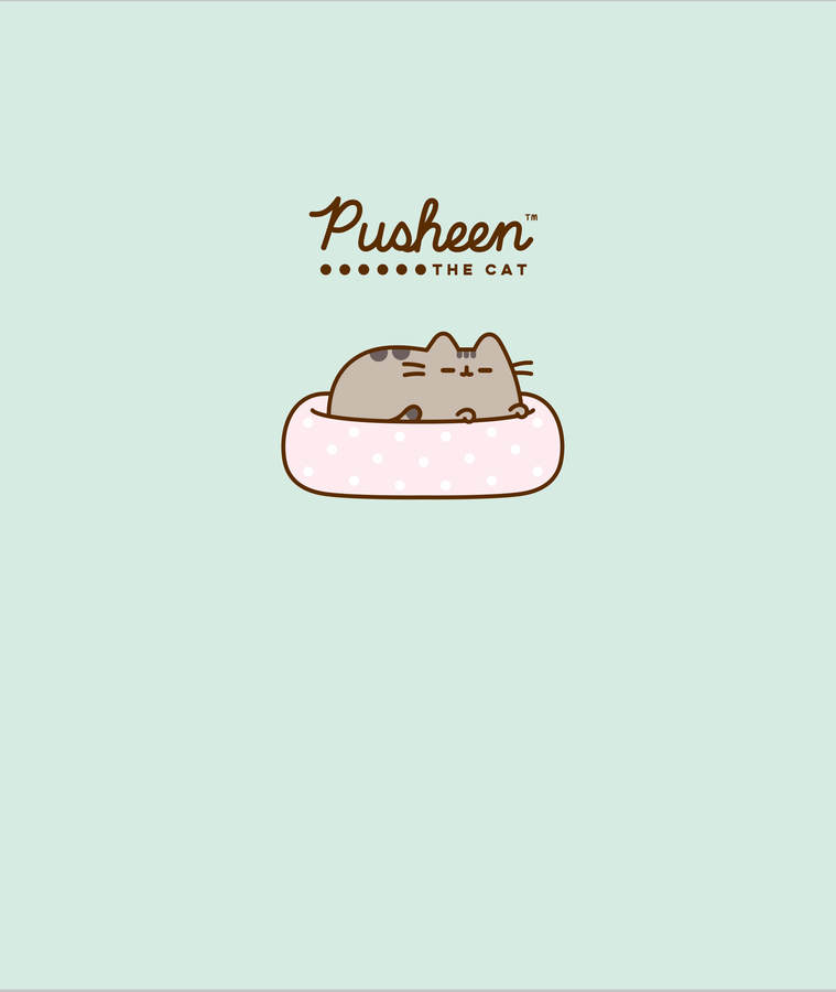 Тетрадь PUSHEEN А5, 48 листов, в клетку, на скрепке, Арт. PS22/5, предпросмотр