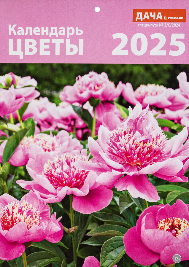 Календарь ДАЧА PRESSA.RU 21х29см, специальный выпуск, превью