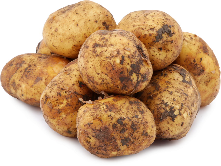 Картофель белый, Тульская область, весовой, предпросмотр