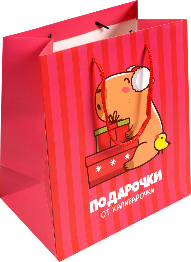 Пакет Капибара 25х22х12см, Арт. 3333232, предпросмотр