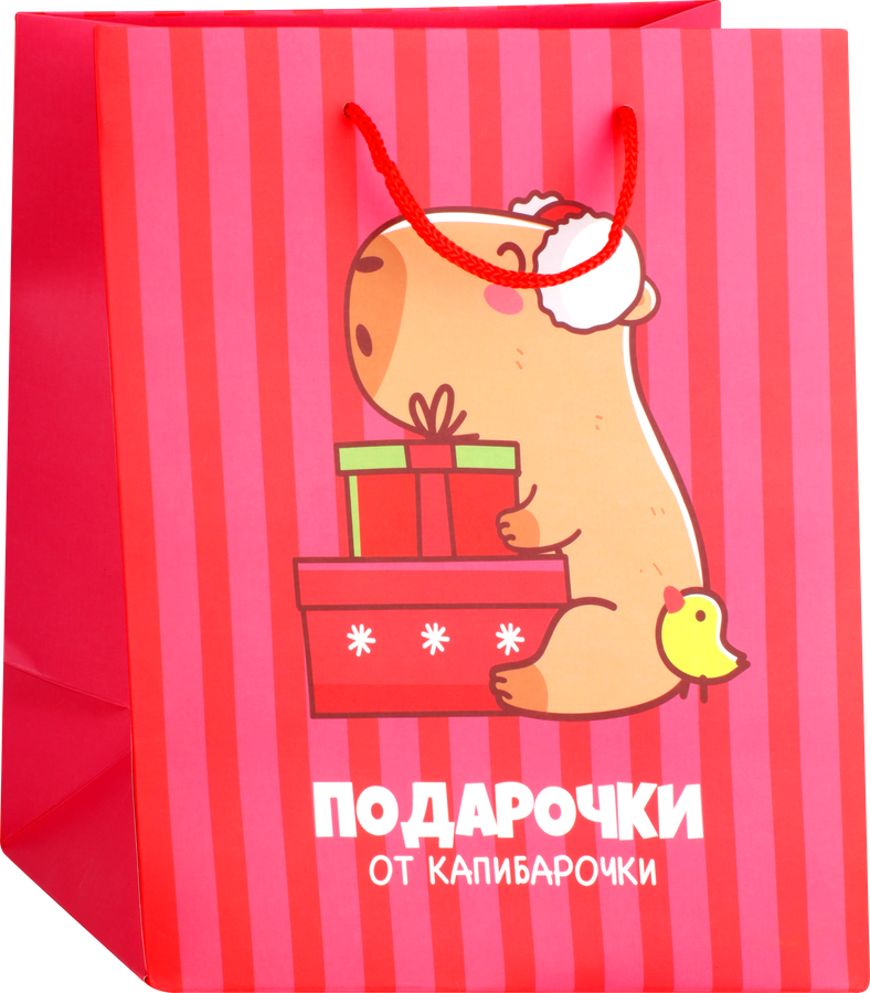 Пакет Капибара 25х22х12см, Арт. 3333232, превью