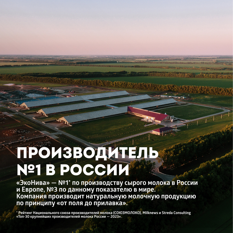 Сыр полутвердый ЭКОНИВА Воспоминания из Шольбрунна Momente aus Schollbrunn 50%, без змж, 200г, превью