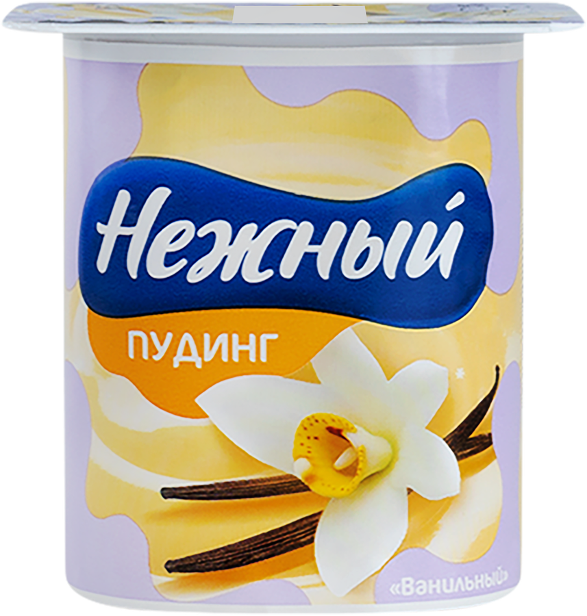 Пудинг НЕЖНЫЙ Ванильный 2,8%, без змж, 100г, превью