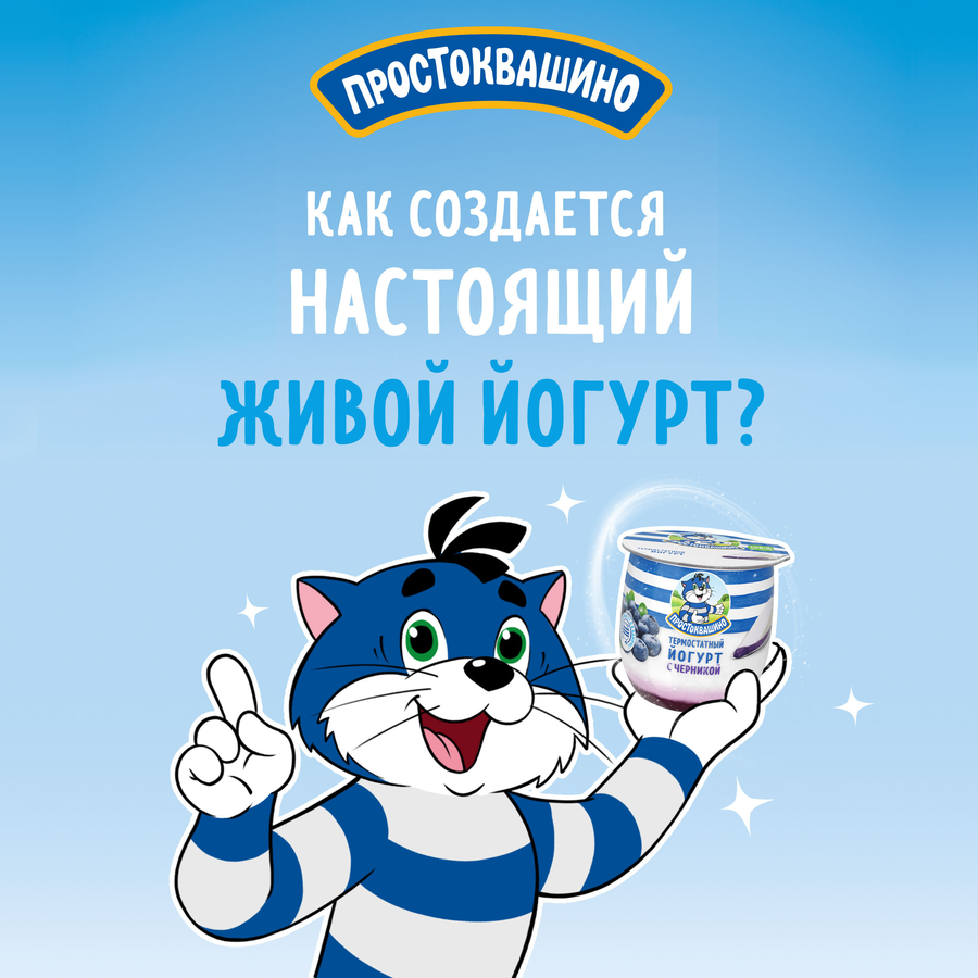 Йогурт термостатный ПРОСТОКВАШИНО с черникой 3,4%, без змж, 160г, превью