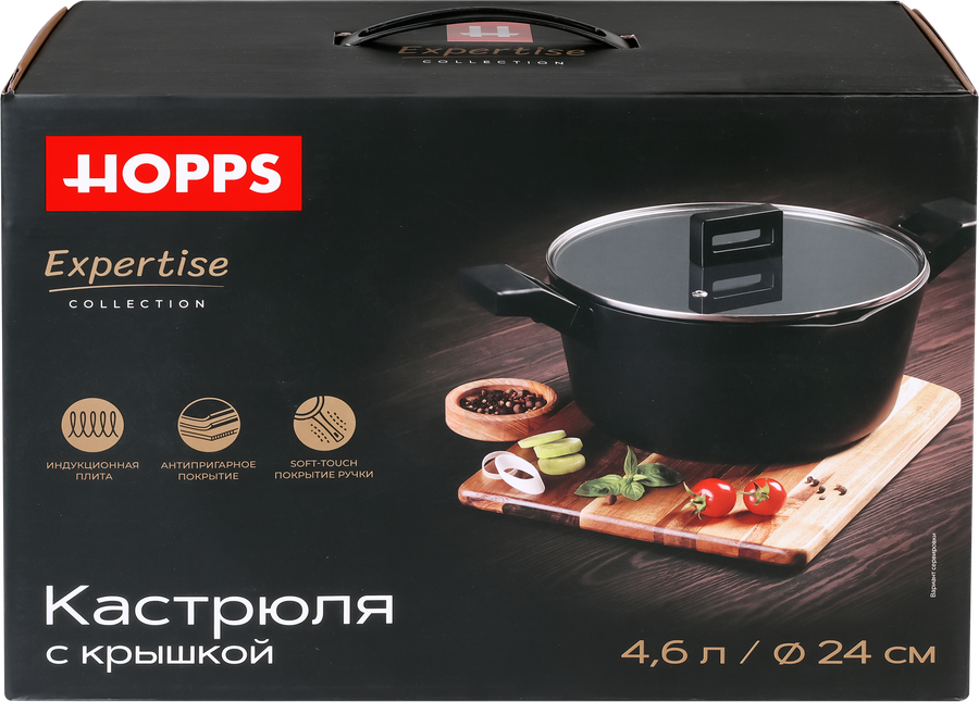 Кастрюля для индукции HOPPS Expertise 24см, литой алюминий, Арт. HW-D9, превью