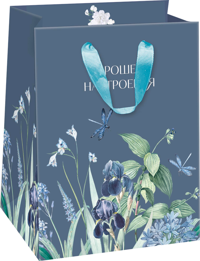 Пакет подарочный ПАКЕТИКО Blue bird, 14х19х9см, Арт. SN, предпросмотр