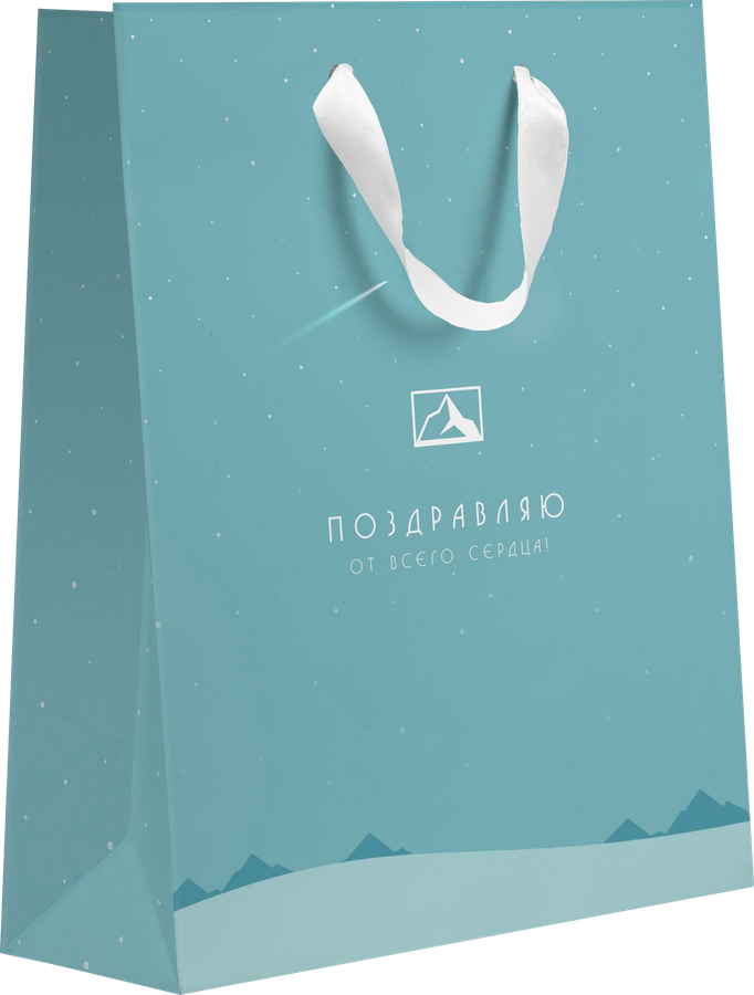 Пакет подарочный ПАКЕТИКО Arctic, 41х31х10см, Арт. XL, предпросмотр