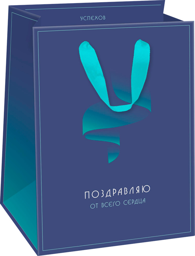 Пакет подарочный ПАКЕТИКО Arctic, 14х19х9см, Арт. SN, превью