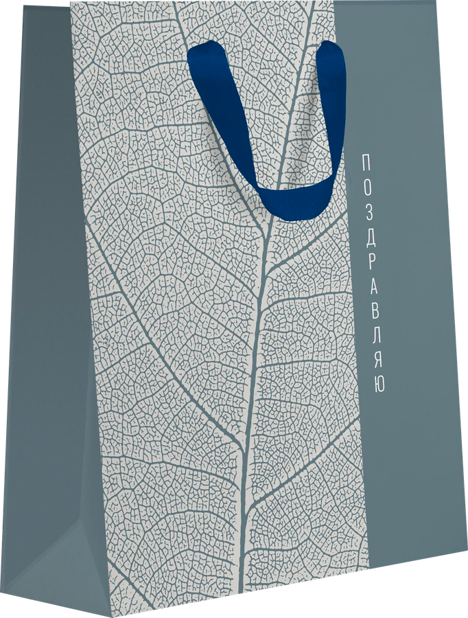 Пакет подарочный ПАКЕТИКО Country, 25,5х31,5х11см, эффект, Арт. LVT, превью