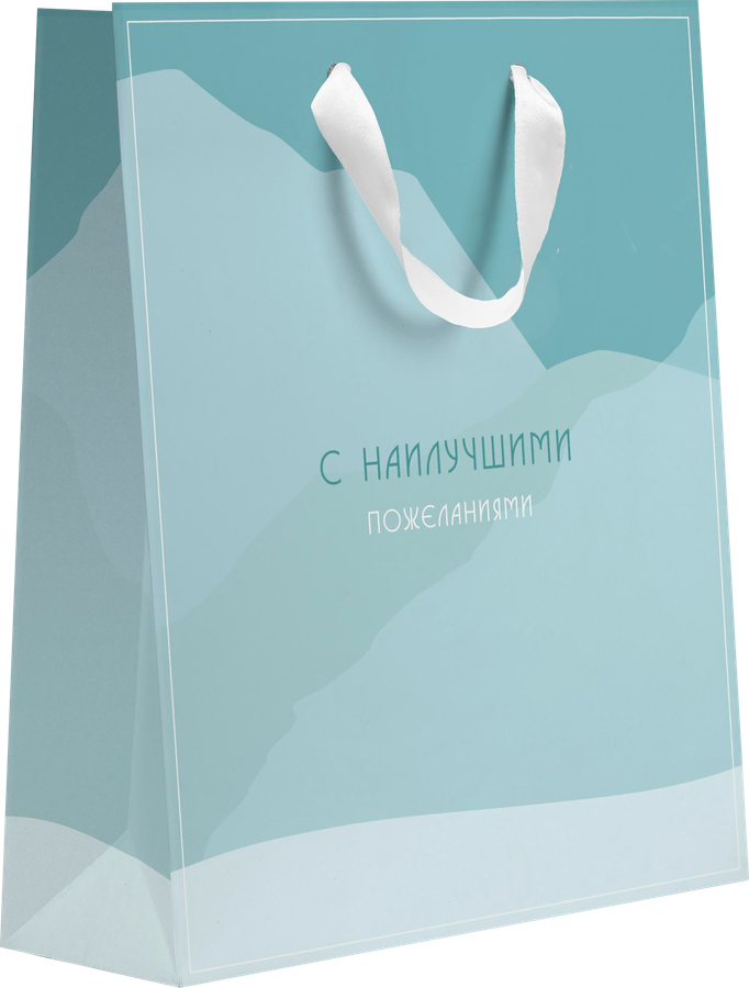 Пакет подарочный ПАКЕТИКО Arctic, 31,5х25,5х11см, Арт. LV, превью