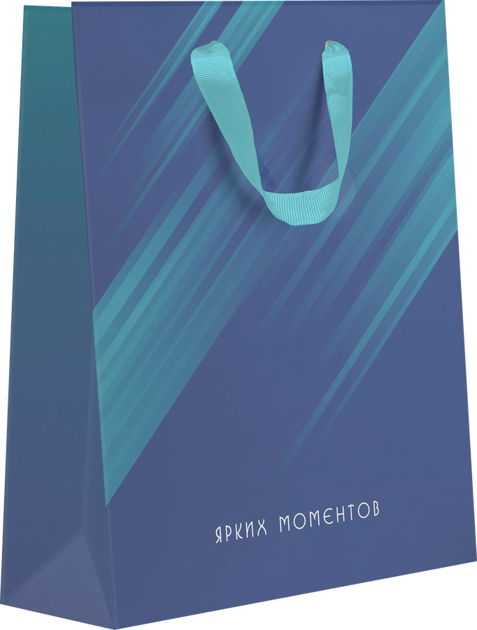 Пакет подарочный ПАКЕТИКО Arctic, 31,5х25,5х11см, эффект, Арт. LVT, превью