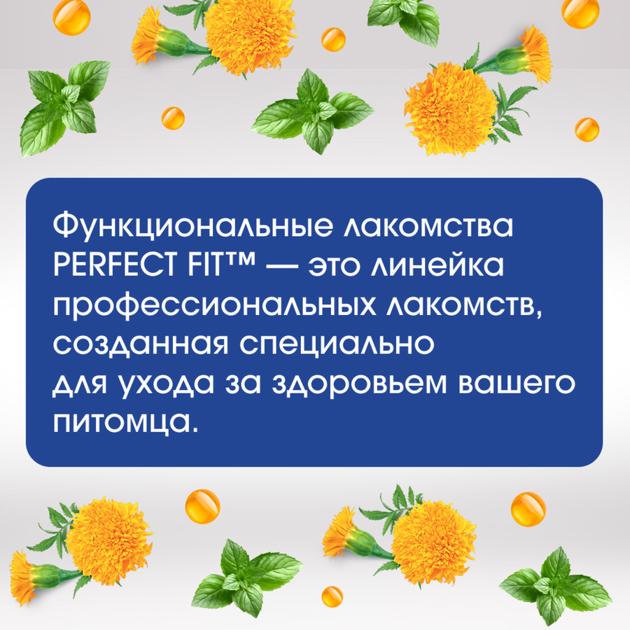 Лакомство для собак PERFECT FIT Говядина и мята, для здоровья зубов и полости рта, 130г, превью