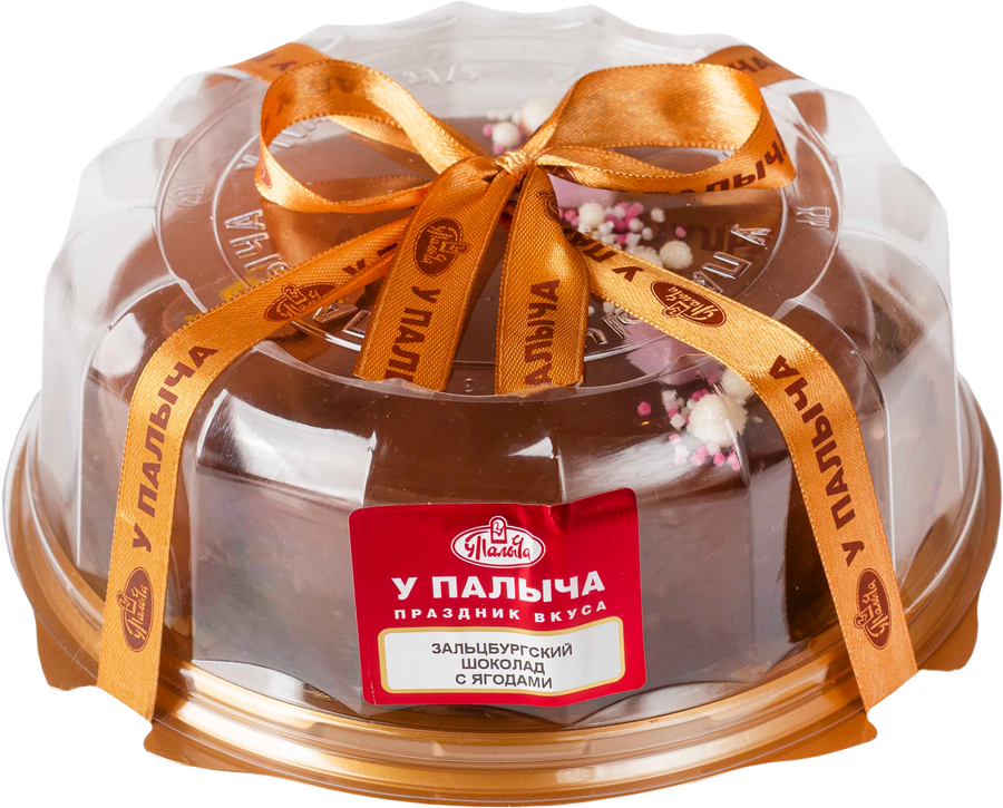 Торт У ПАЛЫЧА Зальцбургский шоколад с ягодами, 500г, превью