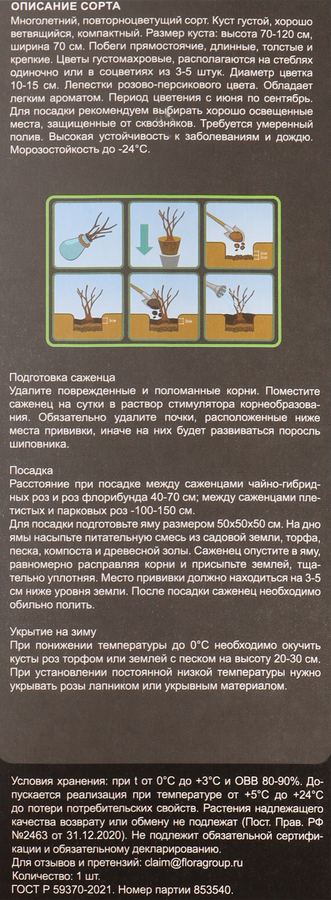Саженцы BLOMING LIFE Роза, микс 3, превью