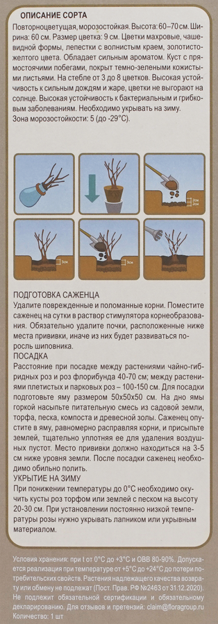 Саженцы KOLIBRI Роза, микс 2, превью
