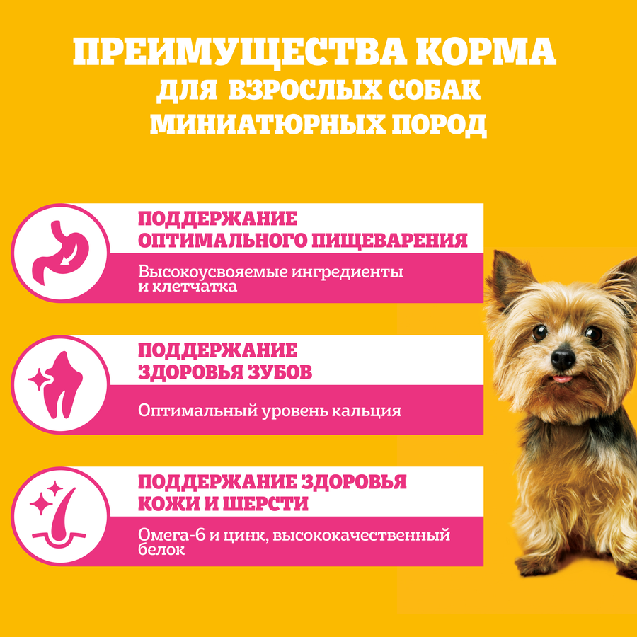 Корм сухой для взрослых собак PEDIGREE полнорационный, для миниатюрных пород, 500г, предпросмотр