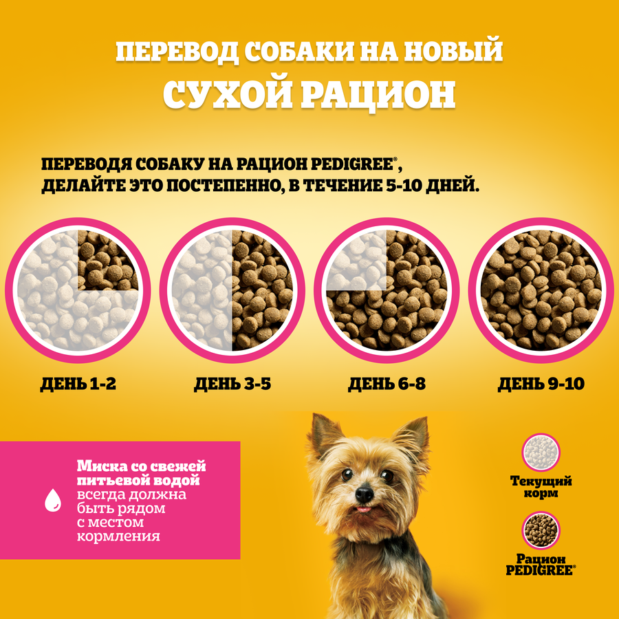 Корм сухой для взрослых собак PEDIGREE полнорационный, для миниатюрных пород, 500г, предпросмотр