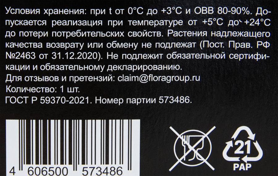 Саженец BLOOMING Гортензия метельчатая Mикс, превью