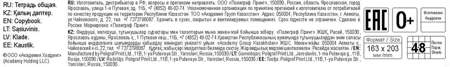 Тетрадь общая ACADEMY STYLE Девушки, 48 листов в клетку, обложка картон, мерцающий песок, Арт. 15099/5, предпросмотр