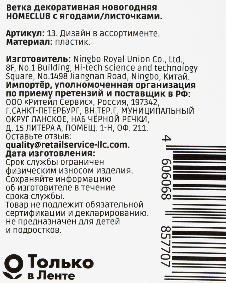 Ветка декоративная HOMECLUB с ягодами/листочками 60см, в ассортименте, превью