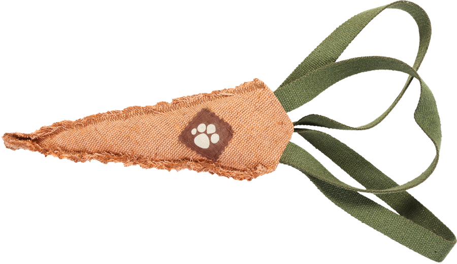 Игрушка-тягалка PAW WOW Морковь с тройной ручкой, 25см, превью