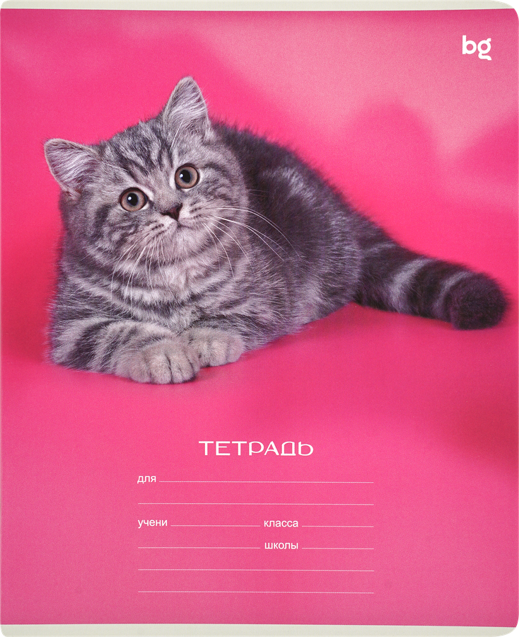 Тетрадь БИДЖИ Little animal, 12 листов, в клетку, предпросмотр