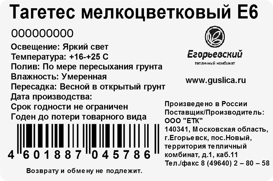 Рассада Тагетес мелкоцветковый, 6 кассет, предпросмотр