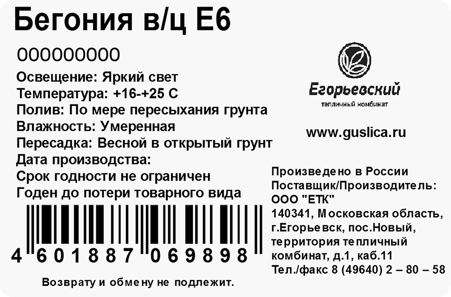 Рассада Бегония вечноцветущая, 6 кассет, предпросмотр