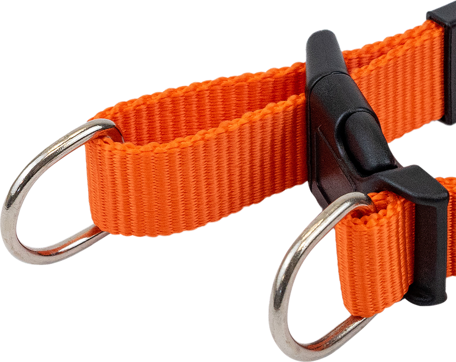 Ошейник для собак PAW WOW синтетический быстросъемный S 32–41см/M 35–50см/L 40–6см, превью