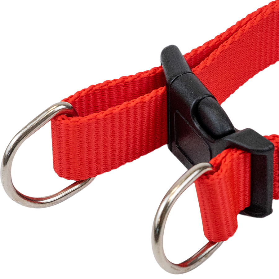 Ошейник для собак PAW WOW синтетический быстросъемный S 32–41см/M 35–50см/L 40–6см, предпросмотр
