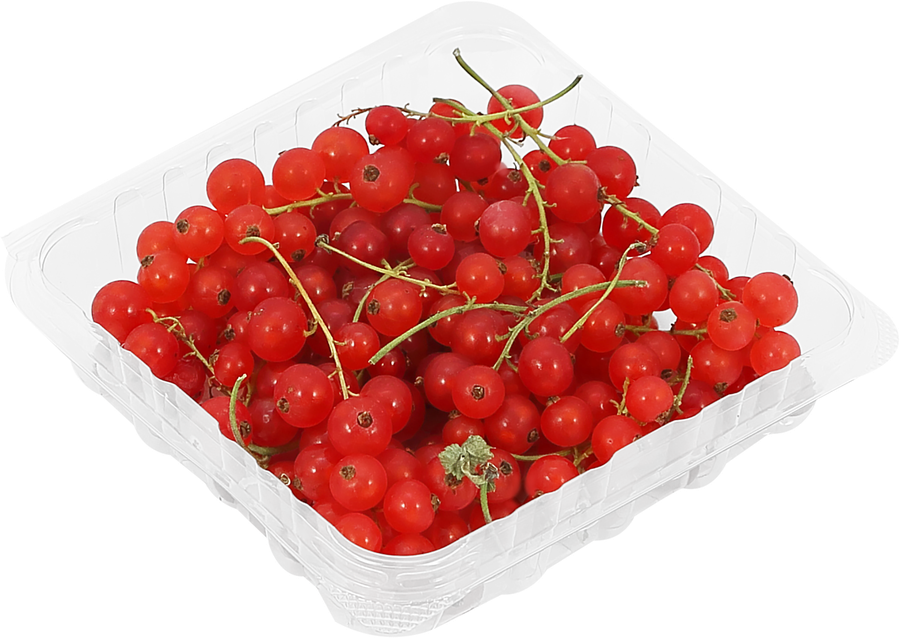 Смородина красная свежая, 125г, предпросмотр
