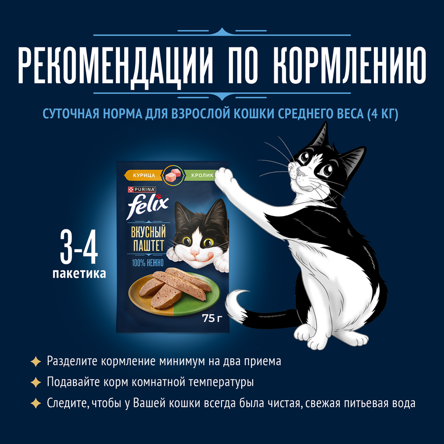 Корм влажный для кошек FELIX паштет со вкусом курицы и кролика, 75г, превью