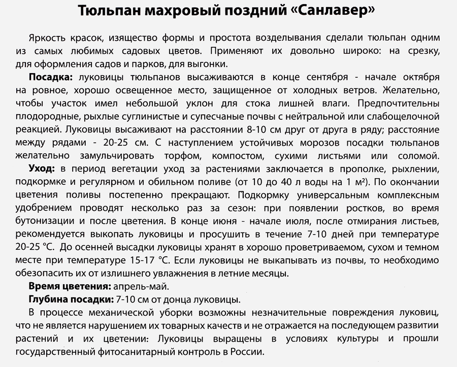 Луковицы Тюльпан махровый поздний Санлавер, 10шт, предпросмотр