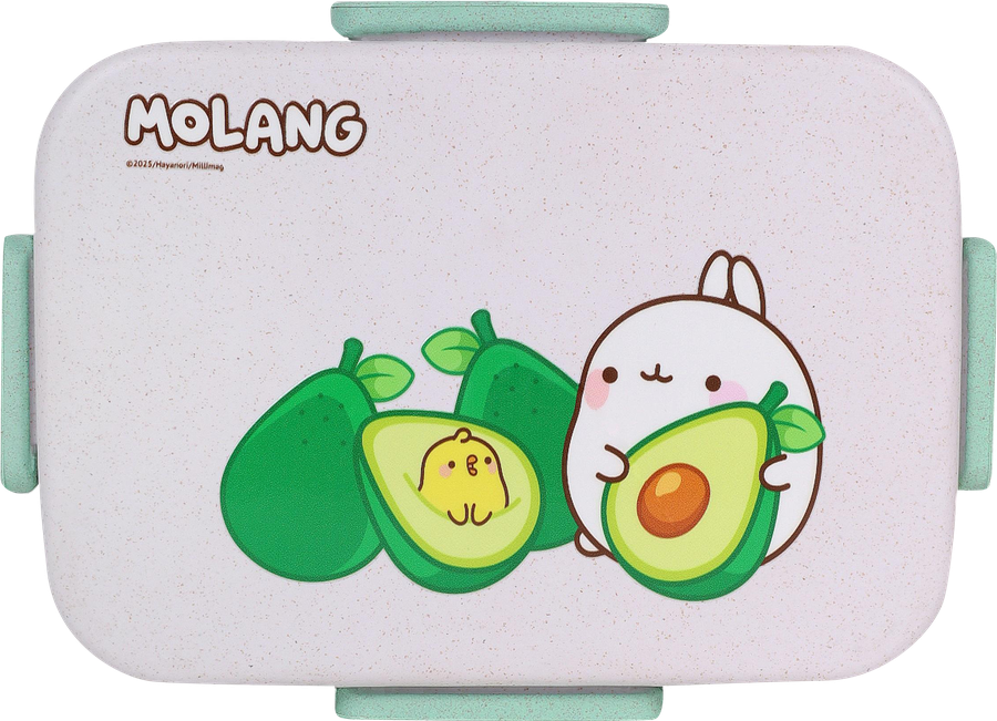 Ланч-бокс MOLANG 20х13х9,5см, с двумя разделениями и 4 клапанами, Арт. 3333370, превью