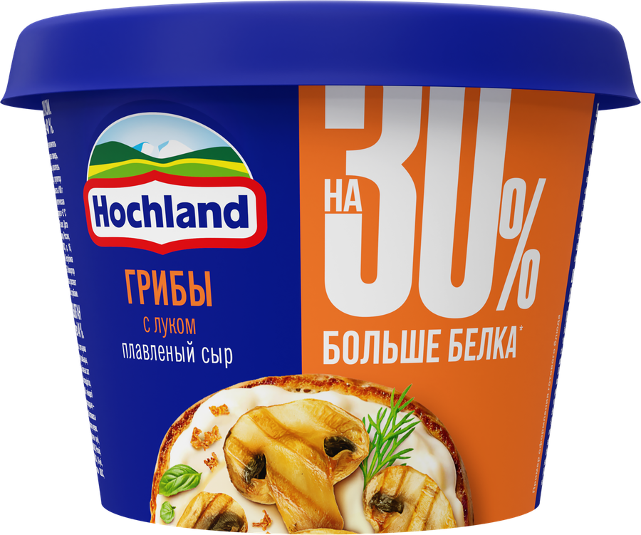 Сыр плавленый HOCHLAND Грибы с луком 40%, без змж, 230г, превью