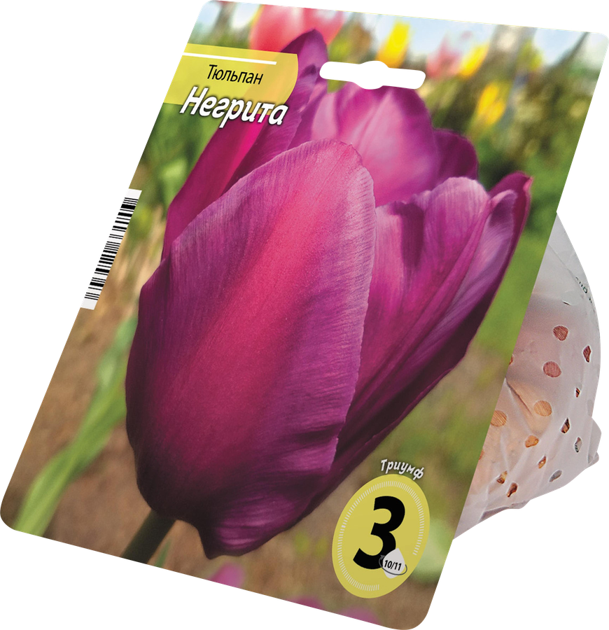 Луковицы РУССКИЙ ОГОРОД Тюльпан Негрита 10/11, фиолетовый, Арт. 125146, 3шт, превью