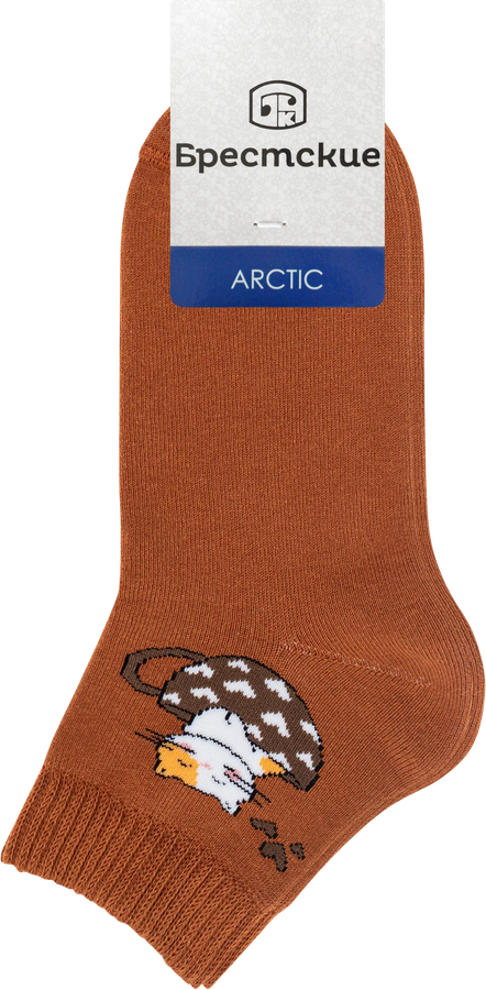 Носки женские БРЕСТСКИЕ Arctic р. 23, 25, рис. 707, 708, Арт. 14С1407, предпросмотр