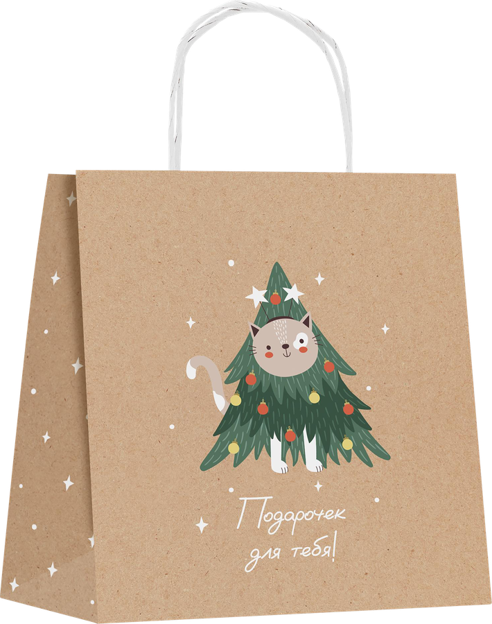 Пакет подарочный CITY HOME TRADE Christmas Kraft 18х16х6см, превью