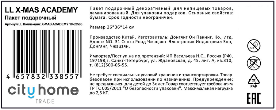 Пакет подарочный CITY HOME TRADE X-Mas Academy 31х26х11см, превью