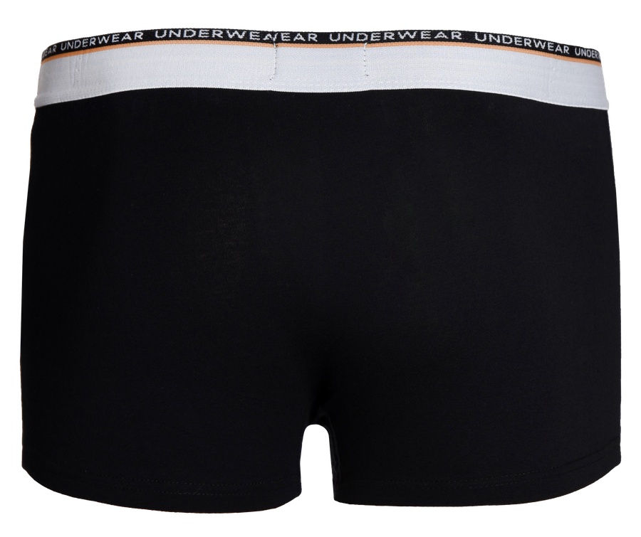 Трусы мужские CASCATTO боксеры р. M–XXL, с лампасами, Арт. BXM1822, превью