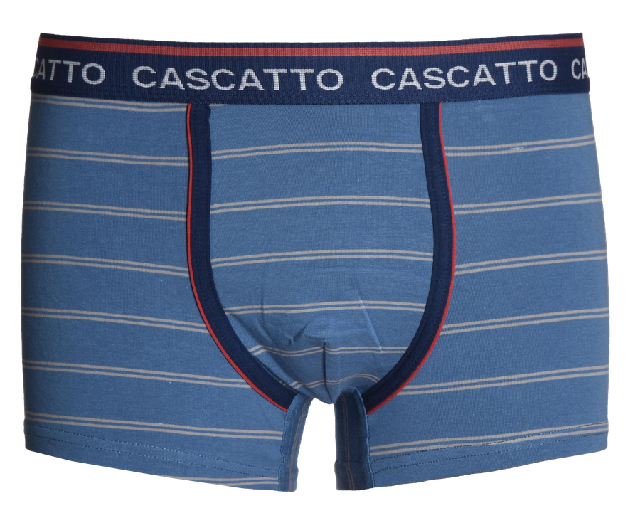 Трусы мужские CASCATTO боксеры р. M–XXL, в полоску, Арт. BXM1834, превью