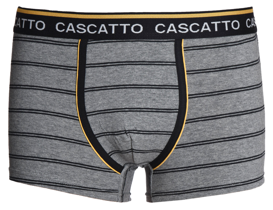 Трусы мужские CASCATTO боксеры р. M–XXL, в полоску, Арт. BXM1834, предпросмотр