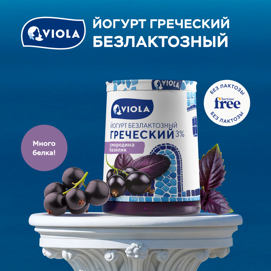 Йогурт VIOLA Free Греческий безлактозный с черной смородиной и базиликом 3%, без змж, 140г, предпросмотр