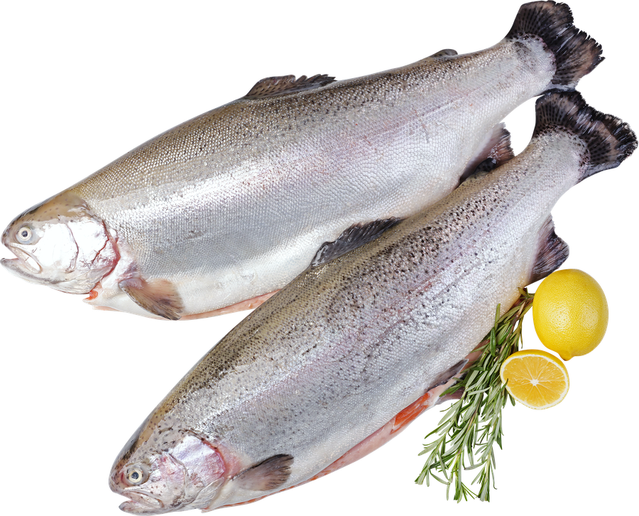 Форель Радужная ЛЕНТА FRESH потрошеная с головой 2–4кг, весовая, предпросмотр